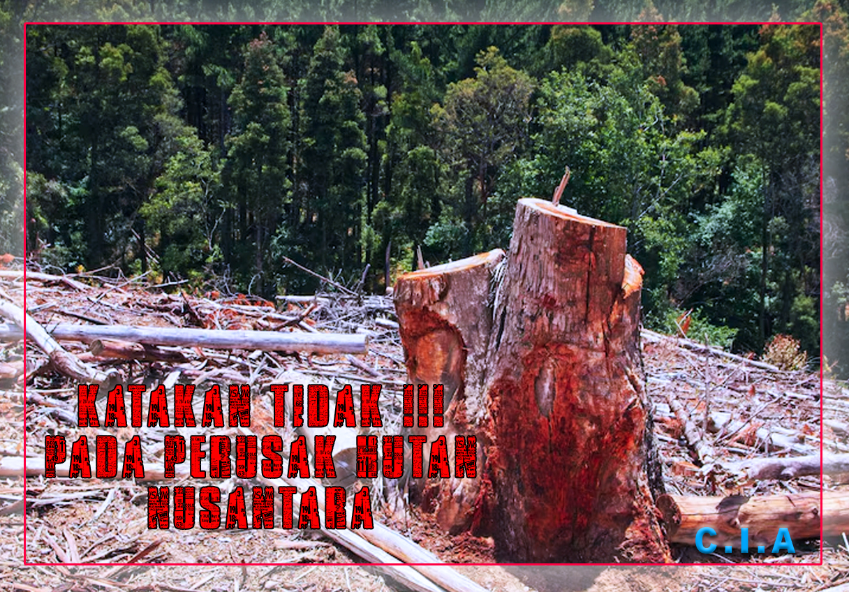 ILEGAL LOGING