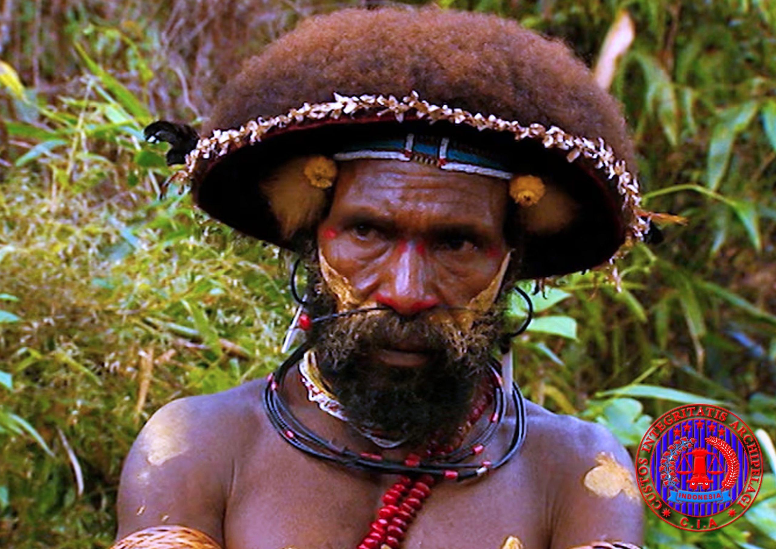 Impunitas Struktural dan Kemunduran Demokrasi- Pelanggaran HAM Berulang di Indonesia dalam Cahaya ICCPR dan CAT